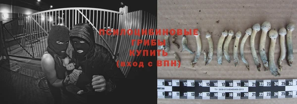 MESCALINE Тында