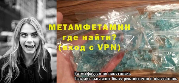 сатива Туринск