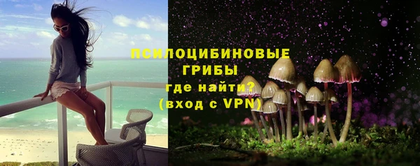 ALPHA PVP Усмань