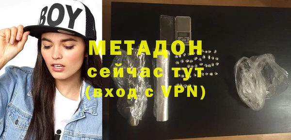сатива Туринск