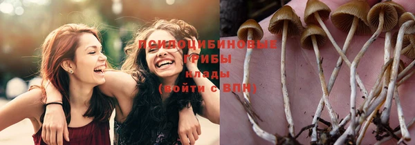 MESCALINE Тында