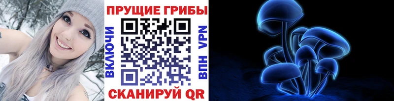 Псилоцибиновые грибы мицелий сайты даркнета Telegram Керчь купить наркоту