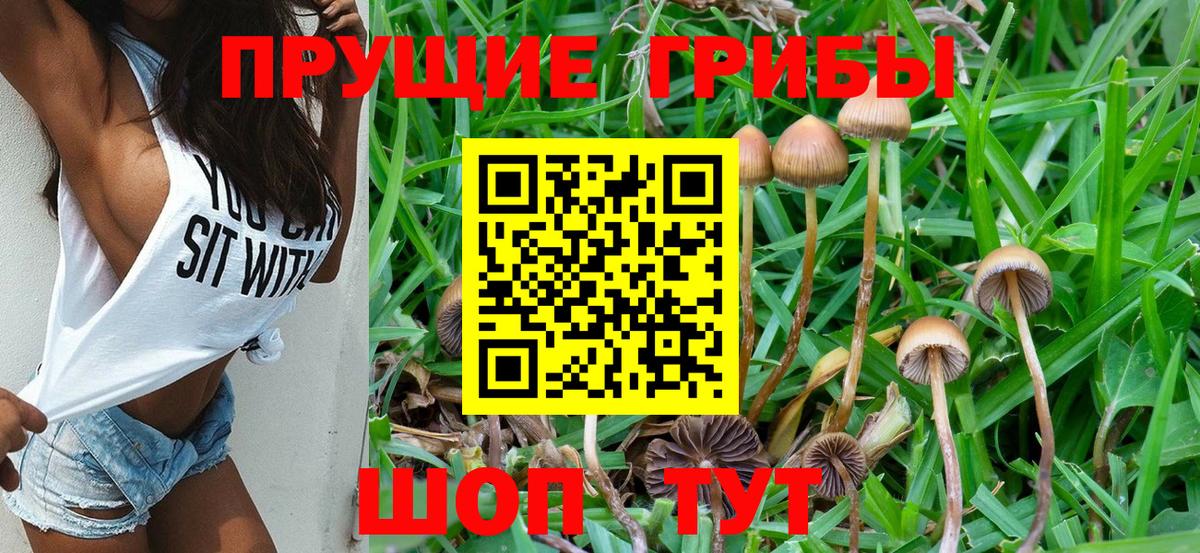 Псилоцибиновые грибы мицелий  Вход с VPN  Псилоцибиновые грибы мухоморы  Керчь 