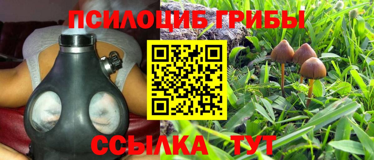 Галлюциногенные грибы мухоморы Керчь